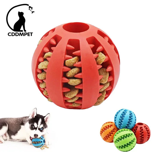 Pelota masticable para perros