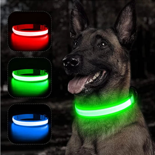 Collar de seguridad luminoso LED para perros y gatos