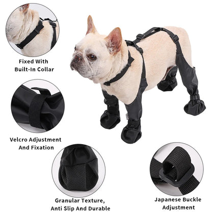 Zapatos ajustables para perros